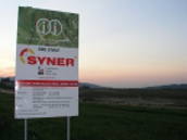 Syner