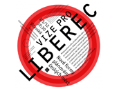 Vize pro Liberec