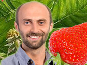 Korytář na jahodách